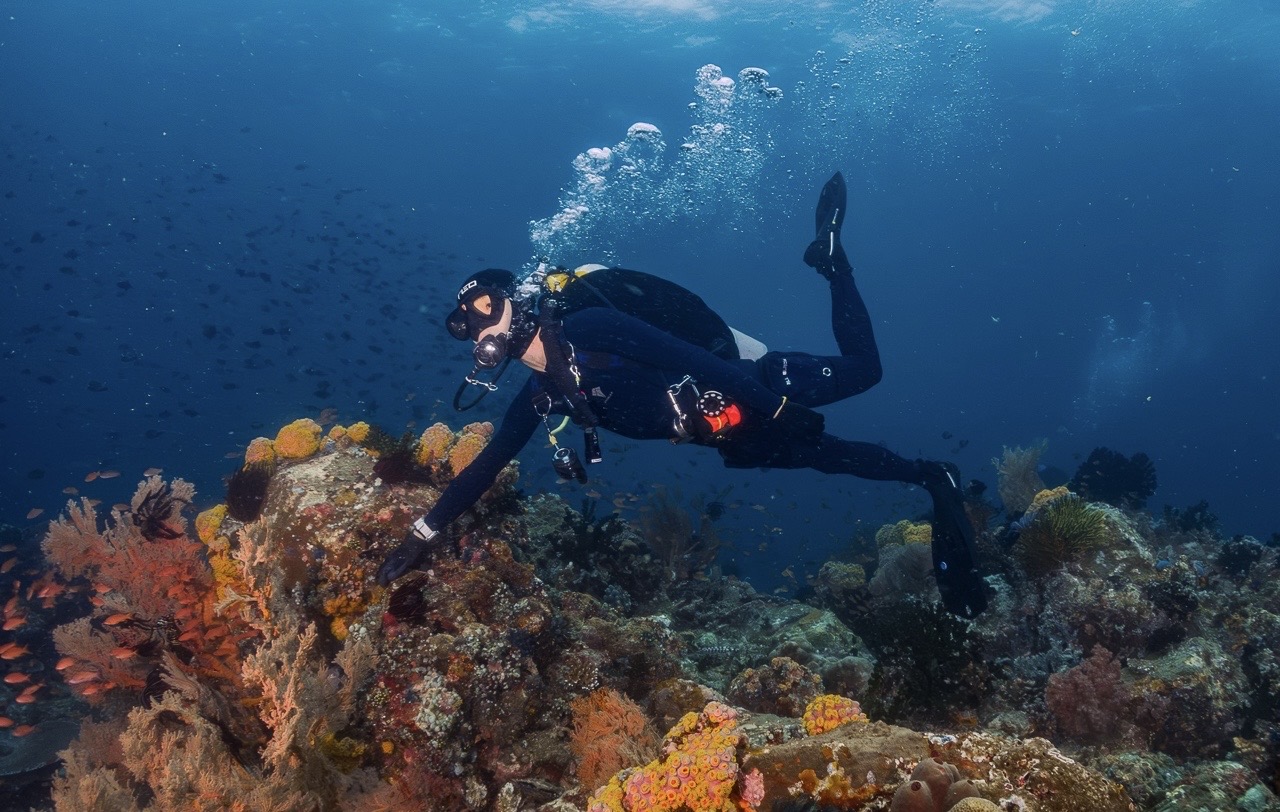 diving_jbee